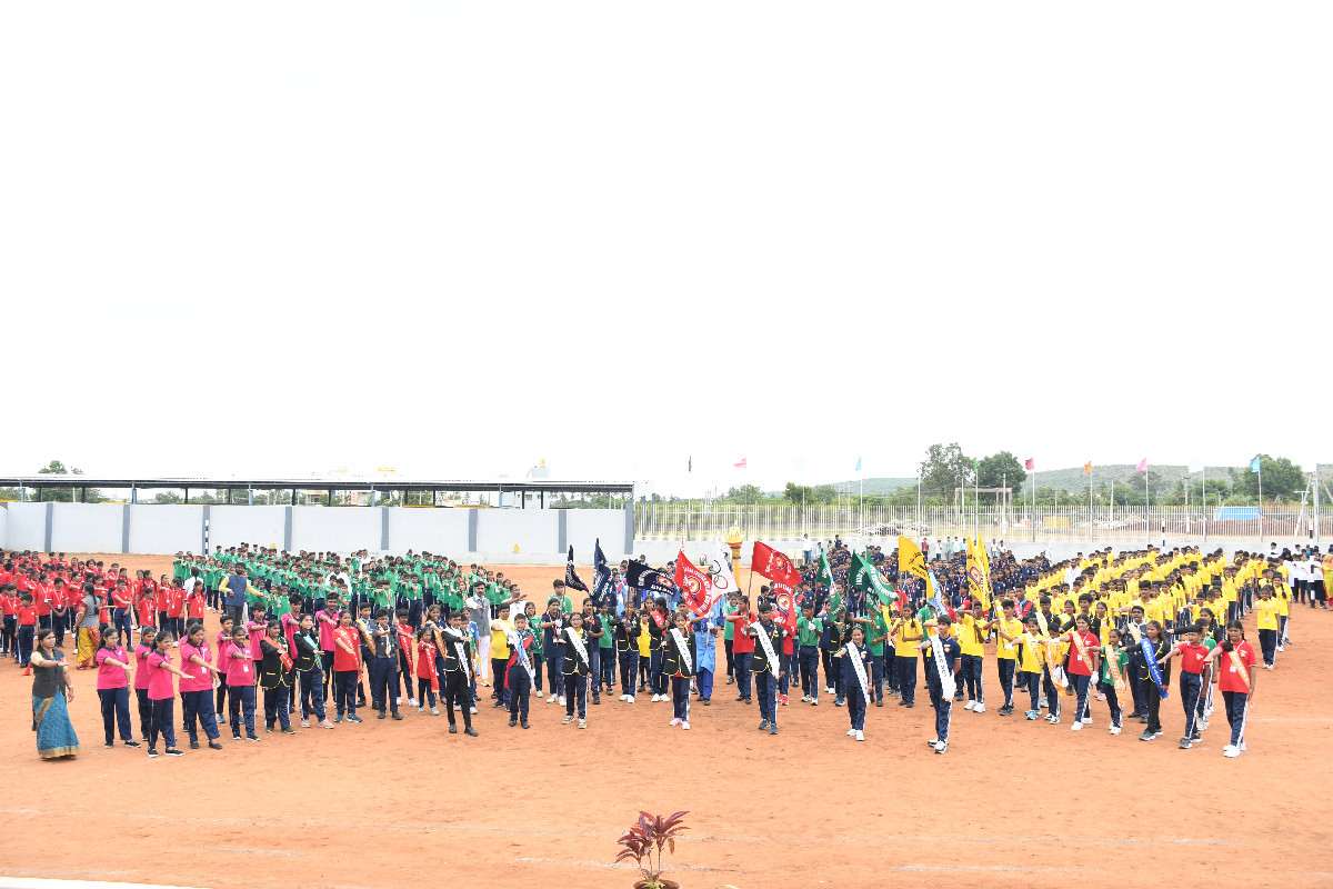 DSC_3346.JPG-100kb.jpeg